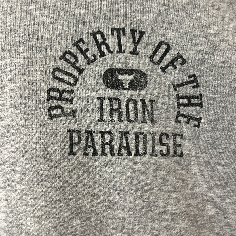 Property of the iron, paradise, under Armour, cropped sweatshirt, size M gray - Picture 2 of 5